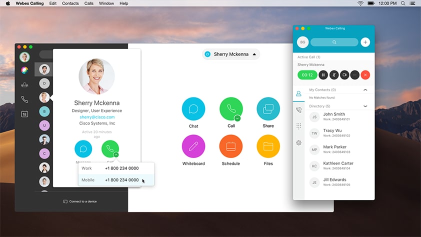 cisco webex calling screenshot
