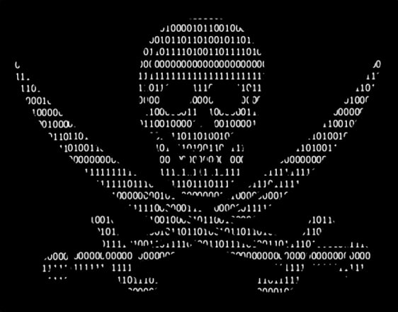 cyber crime security pirate