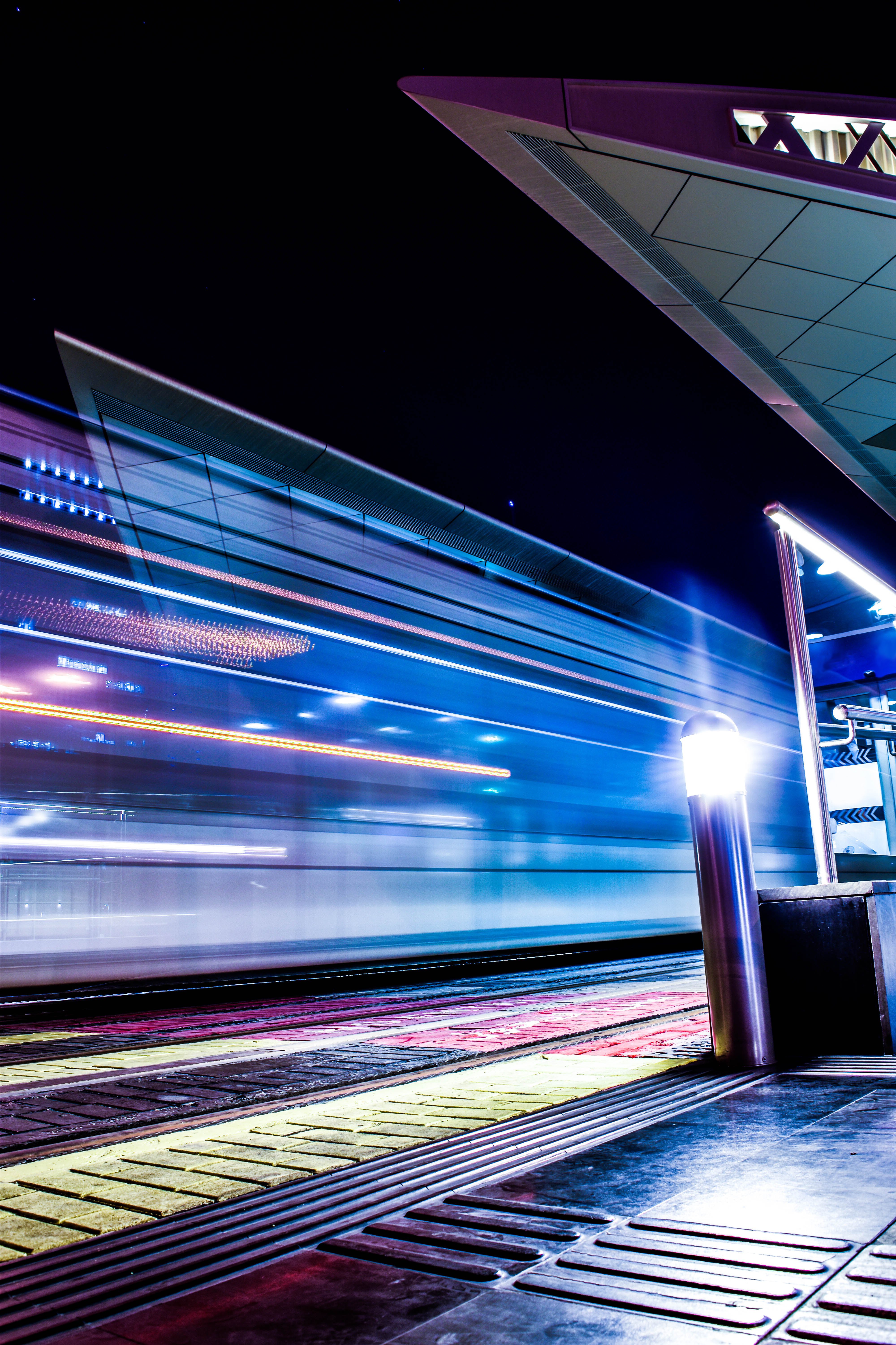 Purple acela photo
