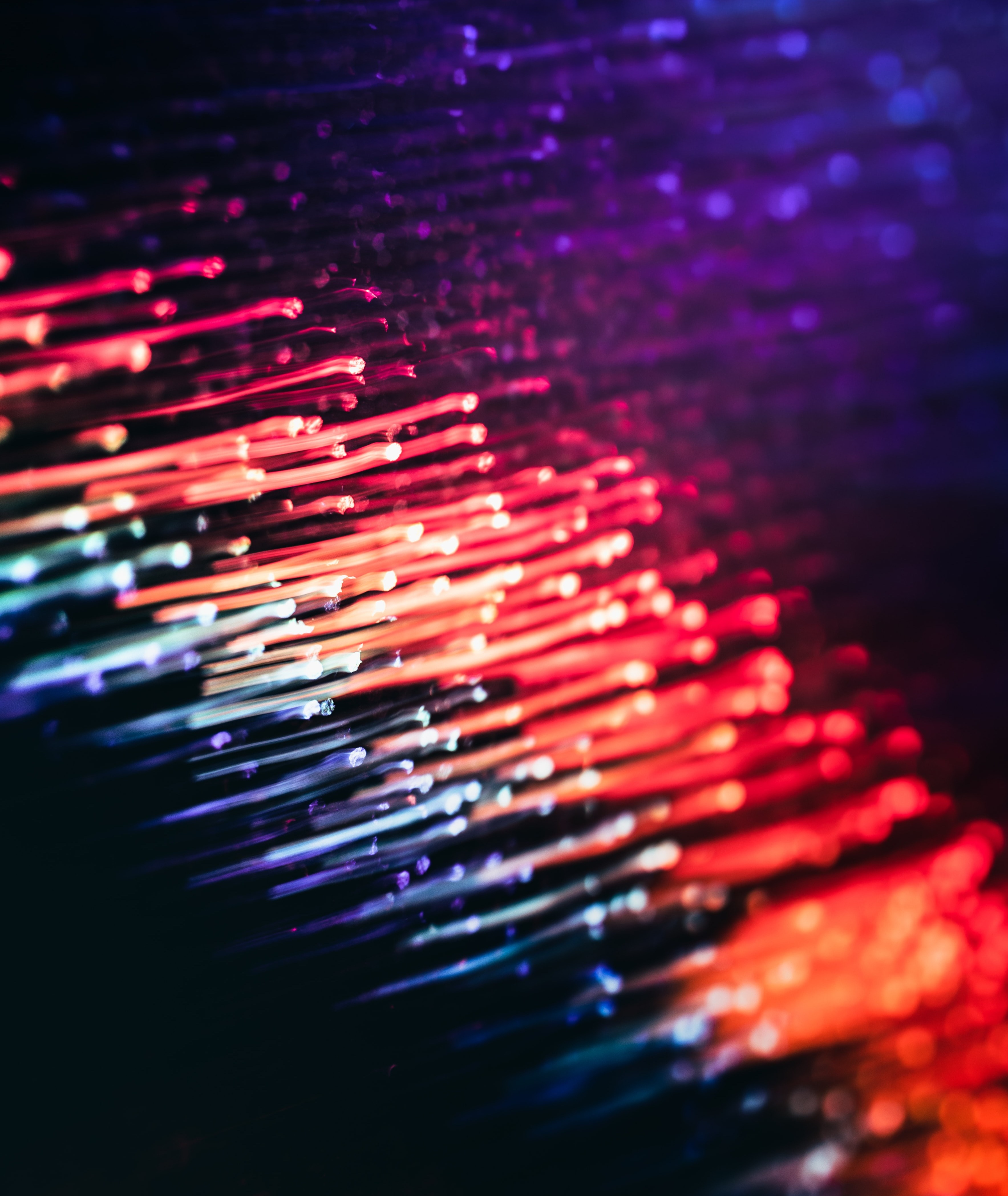 marek-piwnicki-Jb3YsmniwJ4-unsplash-1