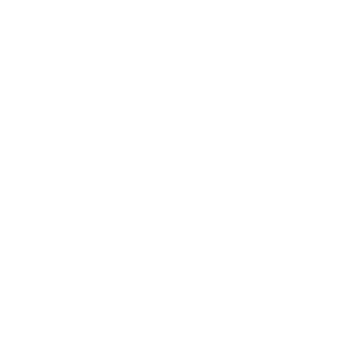 wireless networn pen test icon